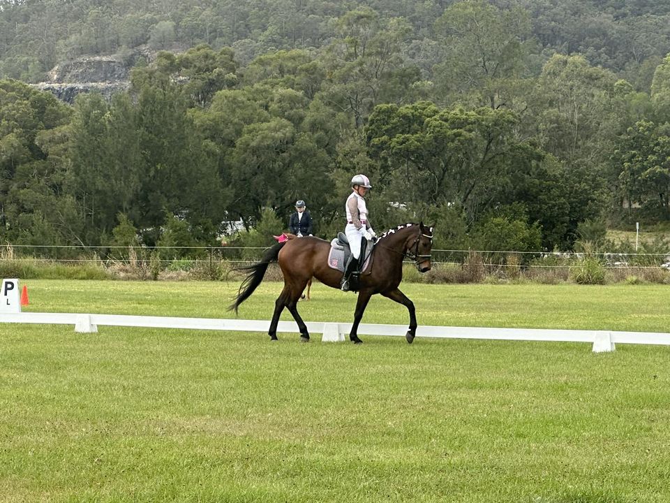 Oxenford Pony Club